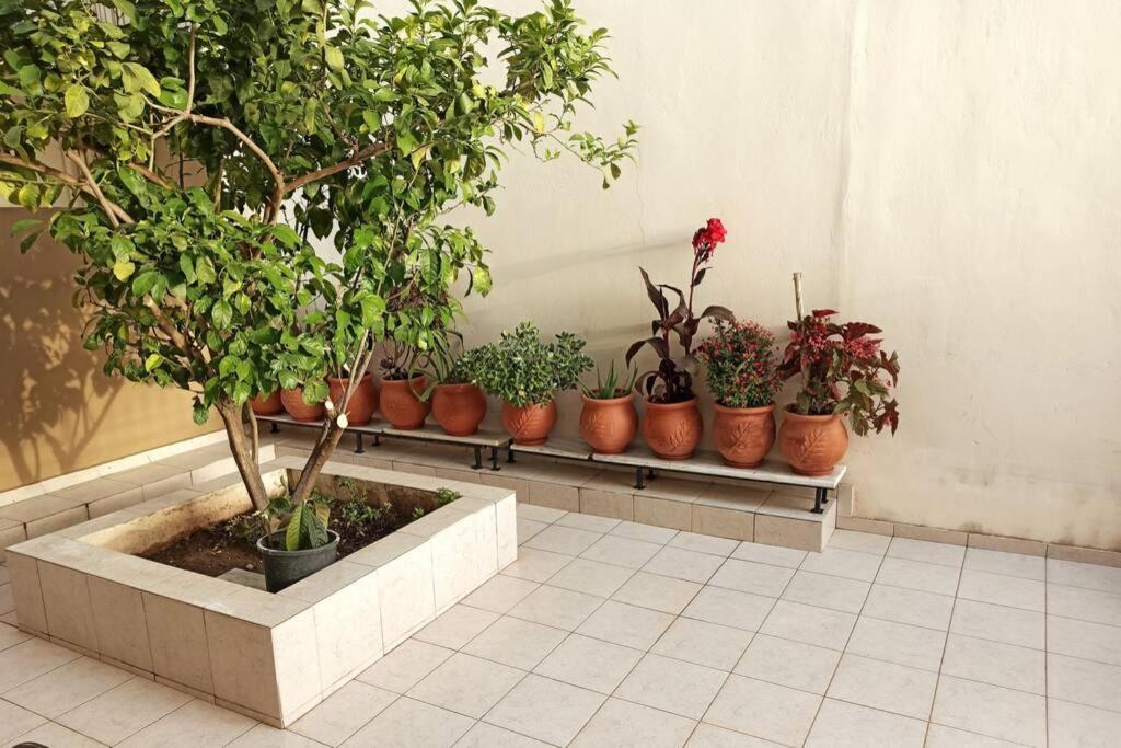 Jilda S Apartment With Private Garden! Nauplia Esterno foto